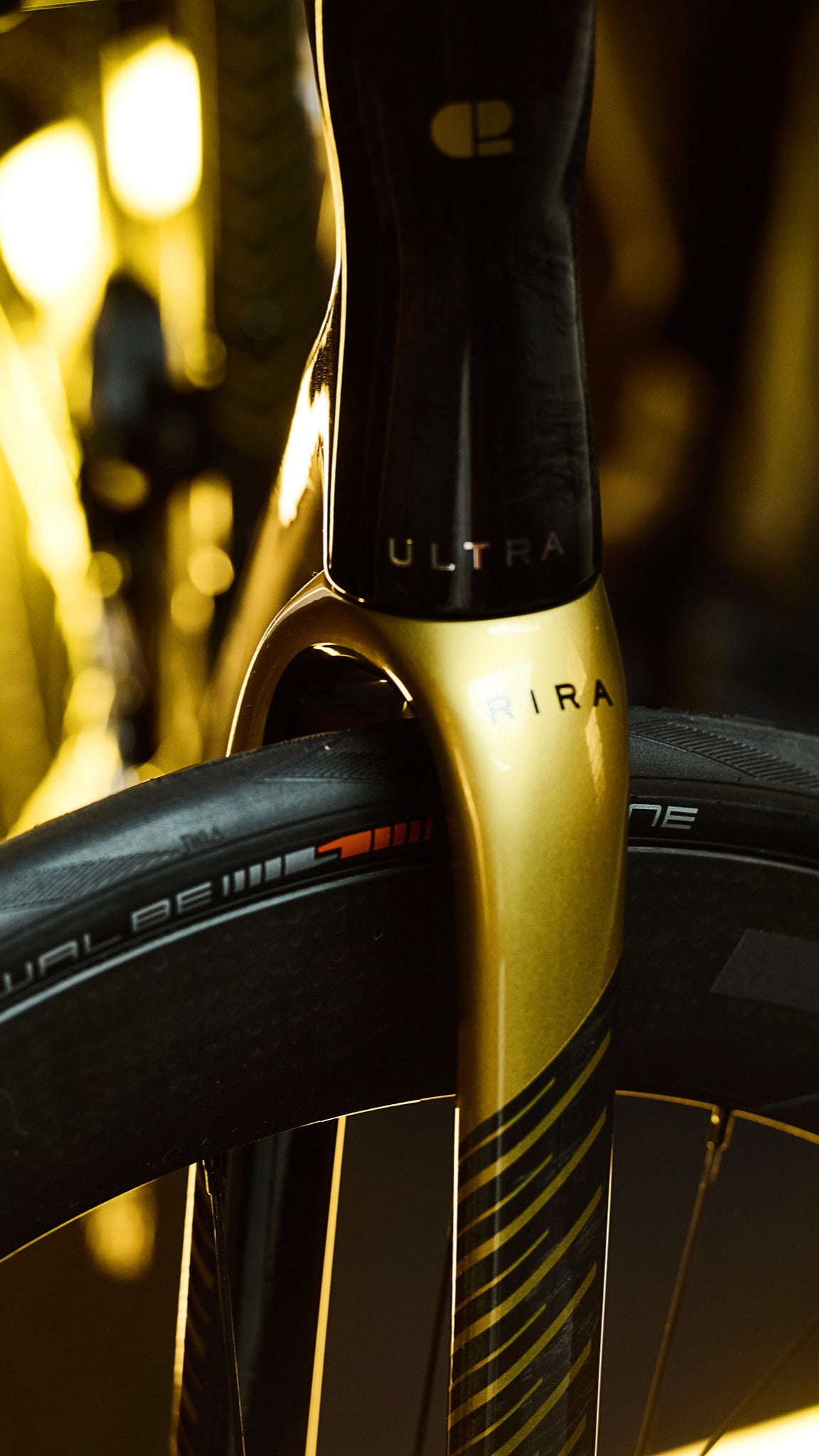 Close-up of a gold bicycle fork with 'Raleigh' branding against a blurred background.