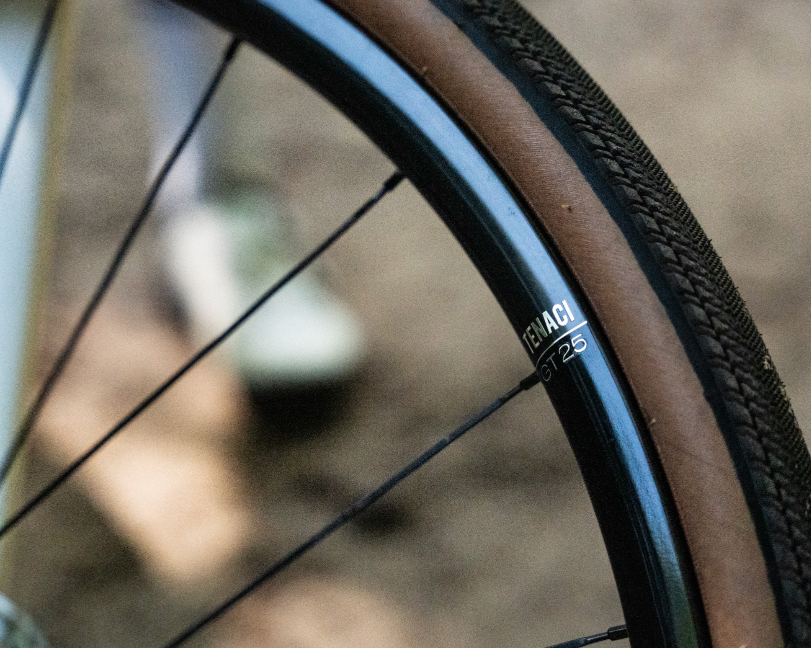 Close-up of a bicycle wheel with a blurred background